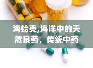 海蛤壳,海洋中的天然良药，传统中药的瑰宝