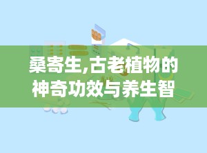 桑寄生,古老植物的神奇功效与养生智慧