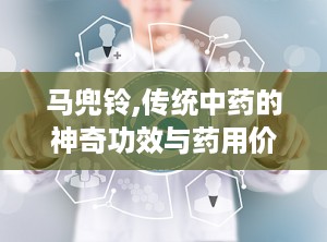 马兜铃,传统中药的神奇功效与药用价值