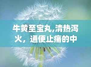 牛黄至宝丸,清热泻火，通便止痛的中成药秘方