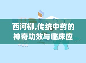 西河柳,传统中药的神奇功效与临床应用解析