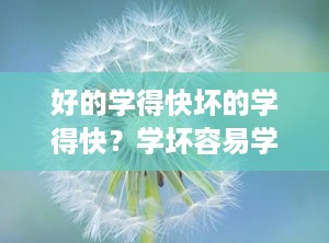 好的学得快坏的学得快？学坏容易学好难句子