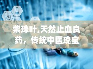 紫珠叶,天然止血良药，传统中医瑰宝