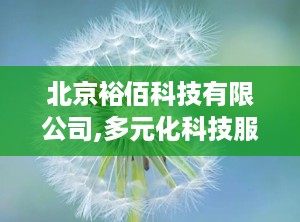 北京裕佰科技有限公司,多元化科技服务与产品创新引领行业新潮流”