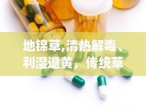 地锦草,清热解毒、利湿退黄，传统草药的现代应用