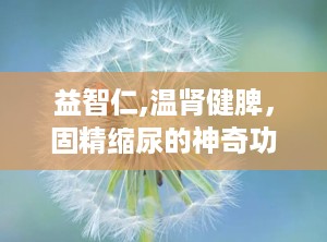 益智仁,温肾健脾，固精缩尿的神奇功效