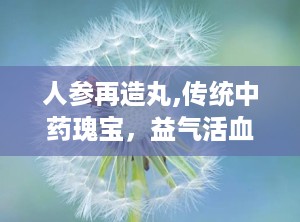 人参再造丸,传统中药瑰宝，益气活血，通络止痛