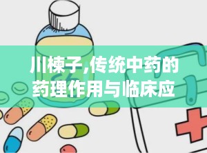 川楝子,传统中药的药理作用与临床应用