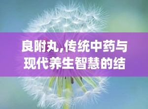 良附丸,传统中药与现代养生智慧的结合