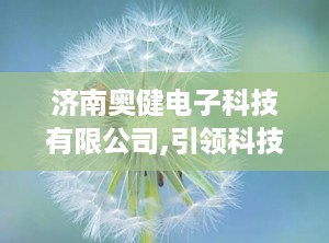 济南奥健电子科技有限公司,引领科技前沿的创新力量