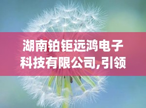 湖南铂钜远鸿电子科技有限公司,引领雾化器领域创新——湖南铂钜远鸿电子科技有限公司发展纪实