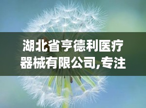 湖北省亨德利医疗器械有限公司,专注护理创新，打造行业高薪典范