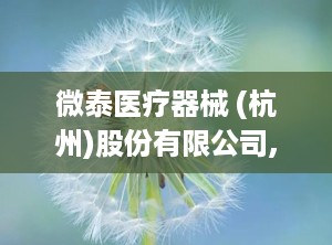 微泰医疗器械 (杭州)股份有限公司,微泰医疗的崛起之路