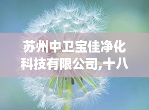 苏州中卫宝佳净化科技有限公司,十八年净化工程领域的创新引领者
