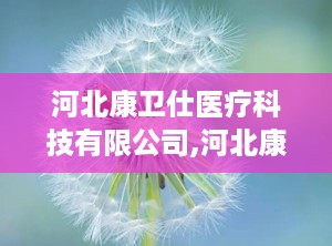 河北康卫仕医疗科技有限公司,河北康卫仕医疗科技有限公司的崛起之路