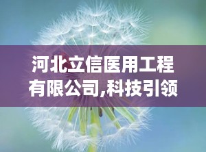 河北立信医用工程有限公司,科技引领医疗进步——河北立信医用工程有限公司助力现代化医院建设