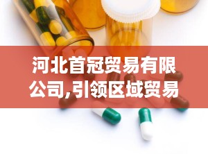 河北首冠贸易有限公司,引领区域贸易新篇章