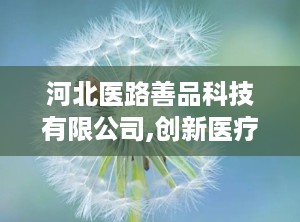 河北医路善品科技有限公司,创新医疗解决方案的引领者
