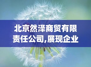 北京然泽商贸有限责任公司,展现企业实力与信誉”