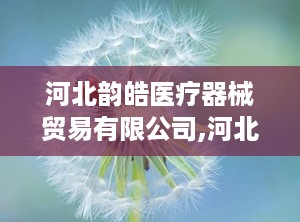 河北韵皓医疗器械贸易有限公司,河北韵皓医疗器械贸易有限公司的崛起与发展