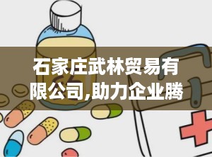 石家庄武林贸易有限公司,助力企业腾飞，共创辉煌未来
