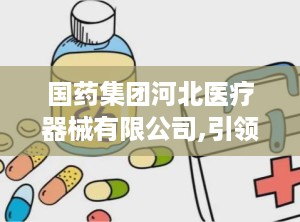 国药集团河北医疗器械有限公司,引领医疗器械行业创新发展的领军企业