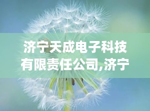 济宁天成电子科技有限责任公司,济宁天成电子科技有限责任公司引领智能科技发展