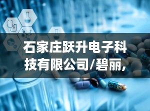 石家庄跃升电子科技有限公司/碧丽,共创智能科技新篇章