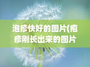 泡疹快好的图片(疱疹刚长出来的图片)