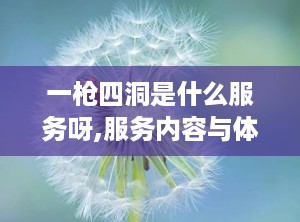 一枪四洞是什么服务呀,服务内容与体验解析