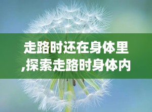 走路时还在身体里,探索走路时身体内发生的奇妙现象