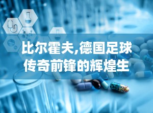 比尔霍夫,德国足球传奇前锋的辉煌生涯与头球绝技