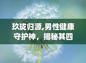 玖珑归源,男性健康守护神，揭秘其四大神奇功效与作用”