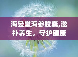 海晏堂海参胶囊,滋补养生，守护健康，提升免疫力新选择”
