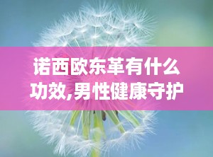 诺西欧东革有什么功效,男性健康守护神，五大功效助力活力人生