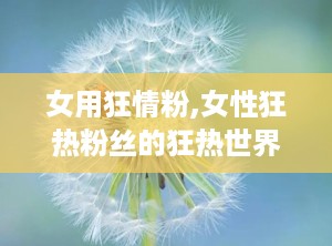 女用狂情粉,女性狂热粉丝的狂热世界