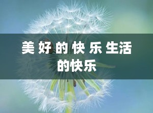 美 好 的 快 乐 生活的快乐