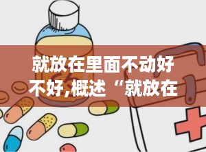 就放在里面不动好不好,概述“就放在里面不动”的内涵与影响