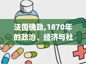 法国确劲,1870年的政治、经济与社会变革