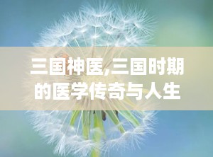 三国神医,三国时期的医学传奇与人生轨迹