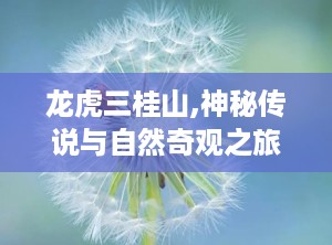 龙虎三桂山,神秘传说与自然奇观之旅