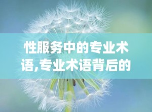 性服务中的专业术语,专业术语背后的秘密世界