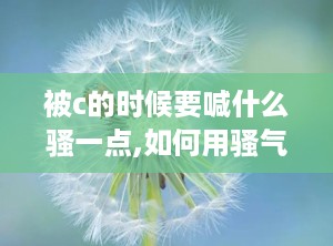 被c的时候要喊什么骚一点,如何用骚气十足的语言反击？