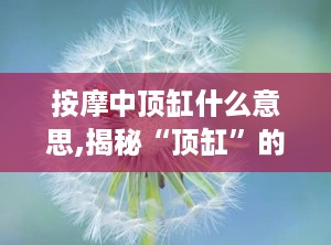 按摩中顶缸什么意思,揭秘“顶缸”的含义