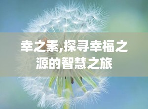 幸之素,探寻幸福之源的智慧之旅