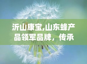 沂山康宝,山东蜂产品领军品牌，传承与创新并行的健康使者
