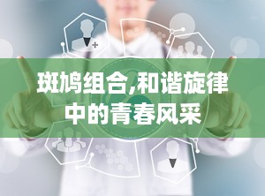 斑鸠组合,和谐旋律中的青春风采