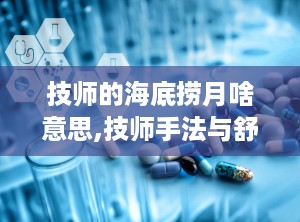 技师的海底捞月啥意思,技师手法与舒适体验”