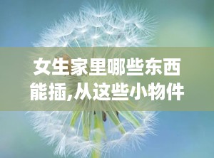 女生家里哪些东西能插,从这些小物件窥见女生的生活态度与习惯