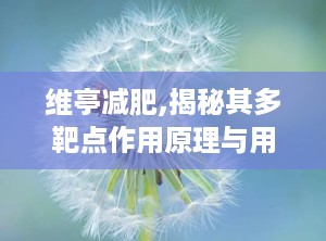 维亭减肥,揭秘其多靶点作用原理与用户真实反馈